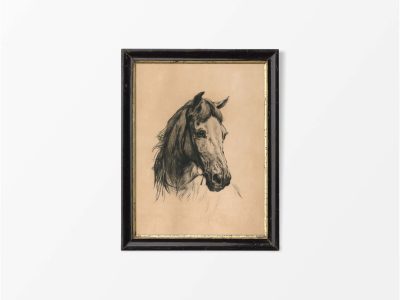 Horse Sketch Vintage Art Print