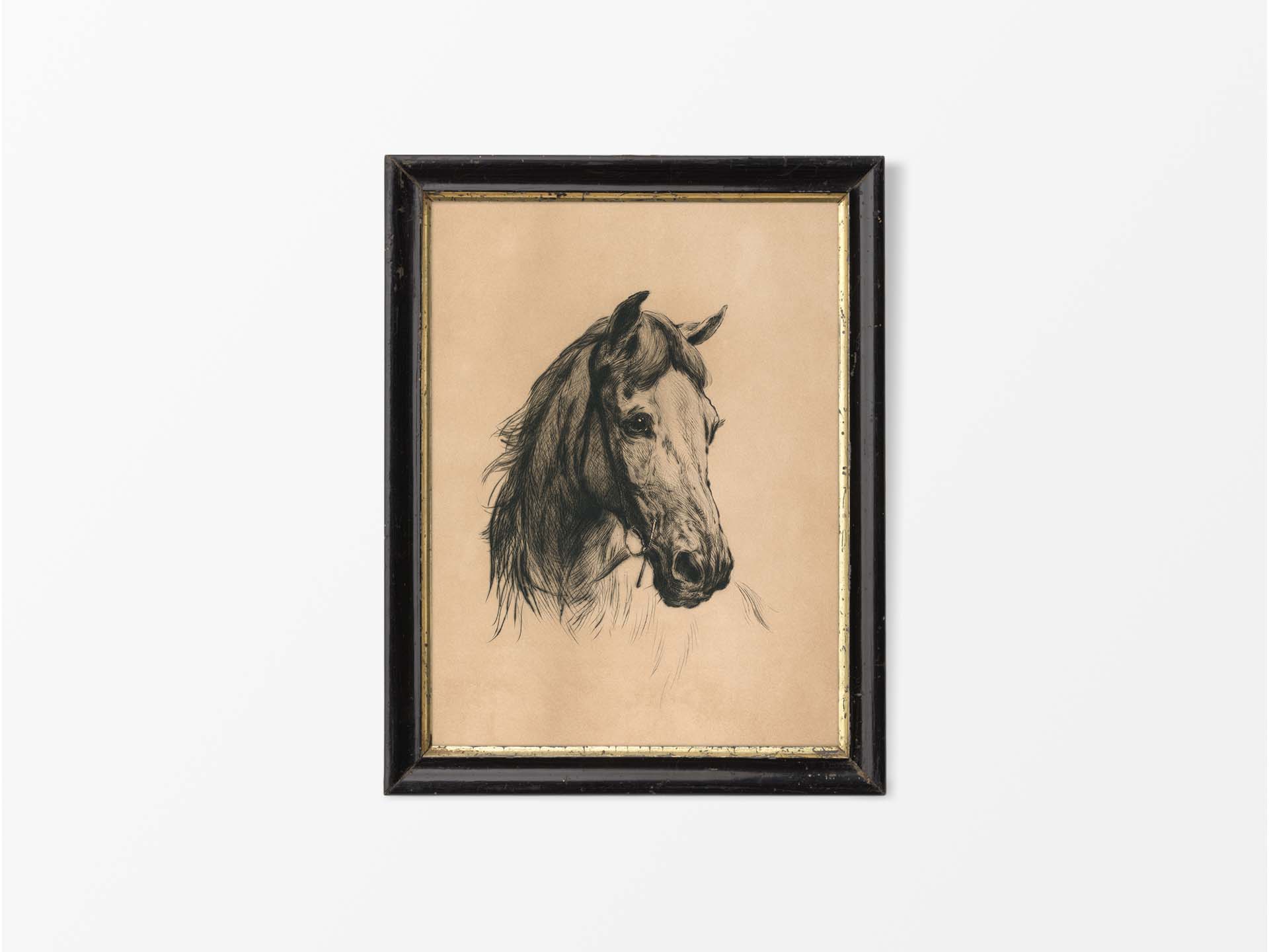 Horse Sketch Vintage Art Print