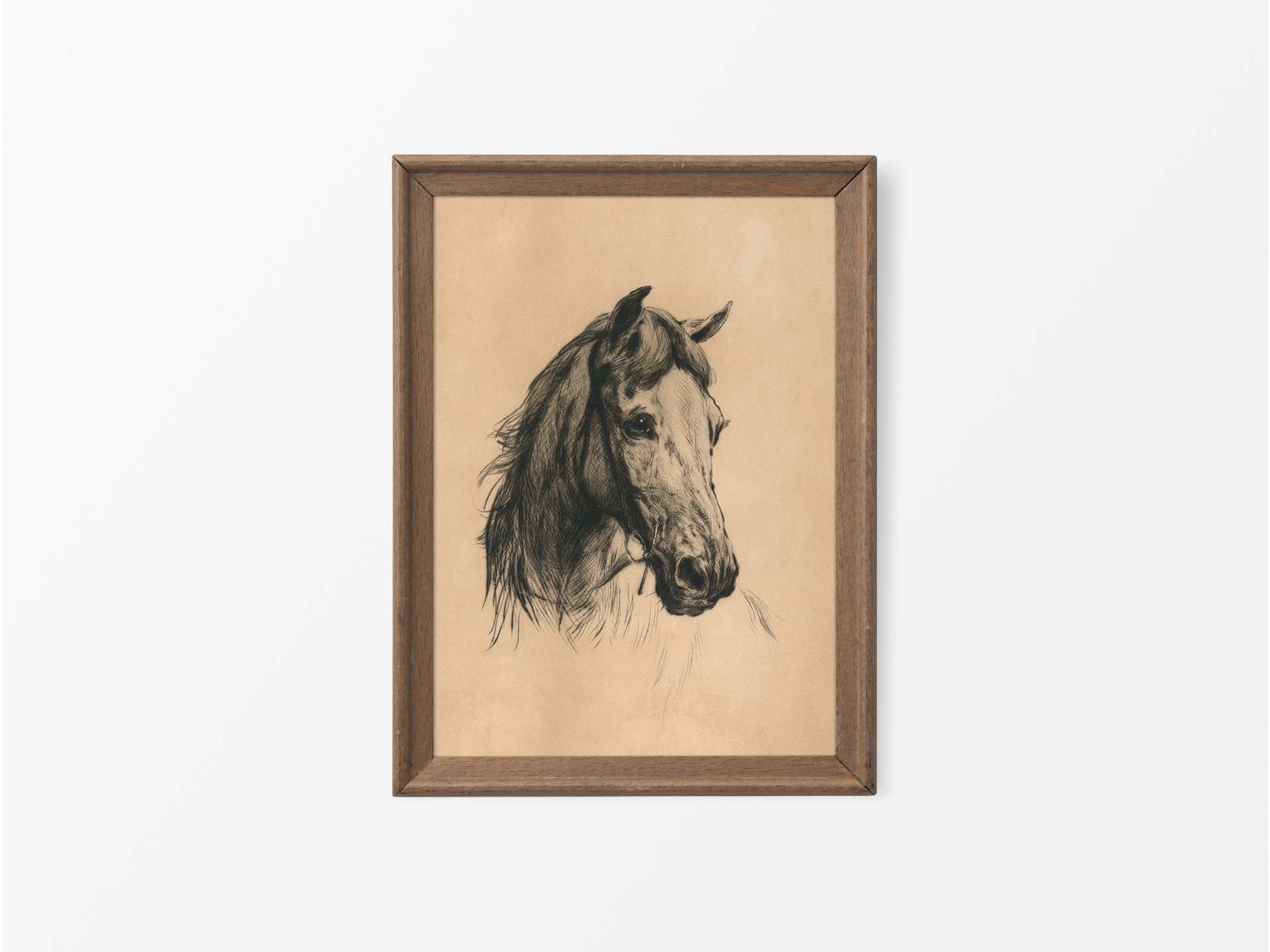 Horse Sketch Vintage Art Print
