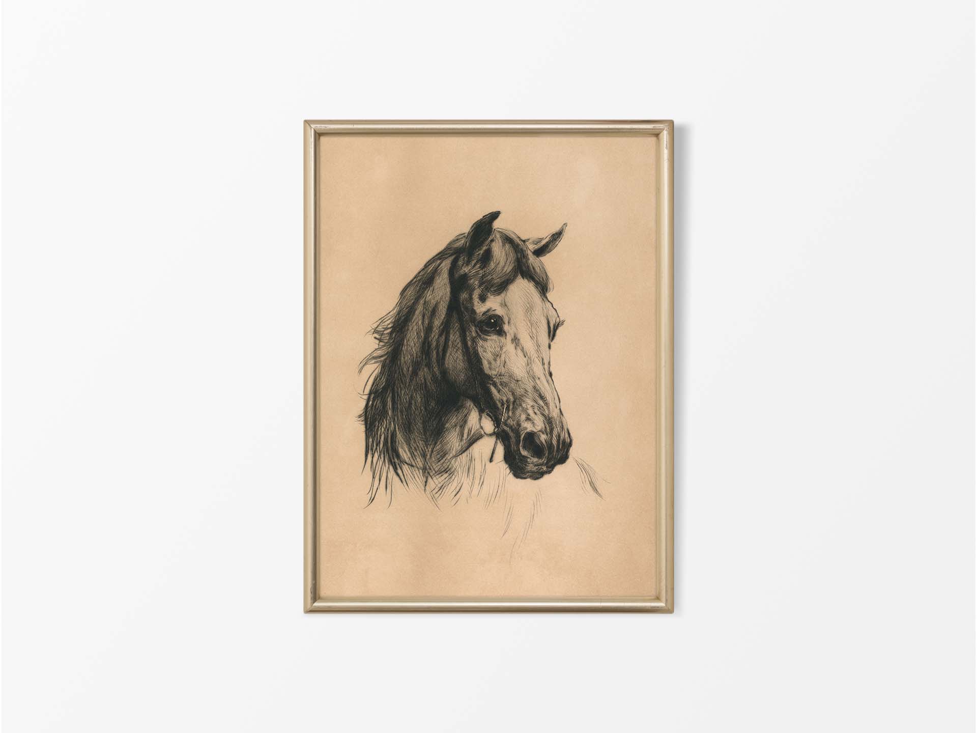 Horse Sketch Vintage Art Print