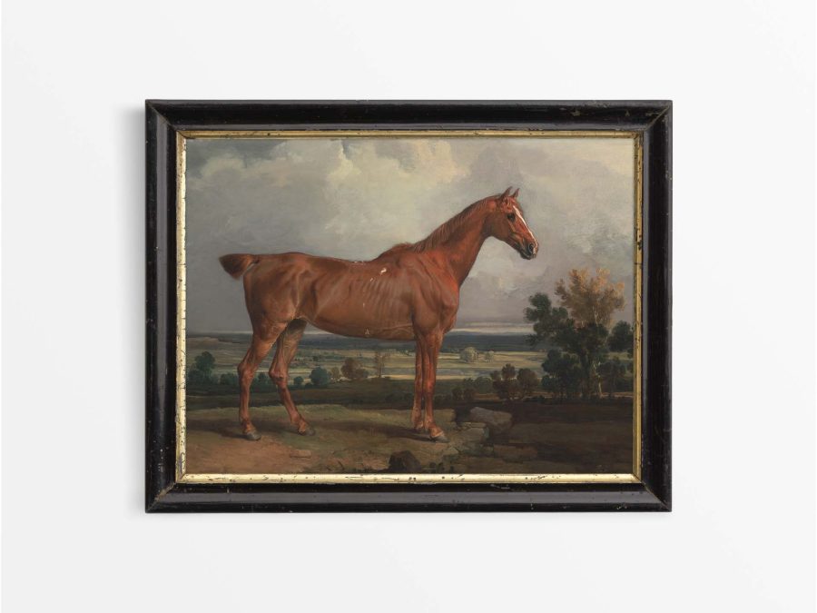 Horse V Vintage Art Print