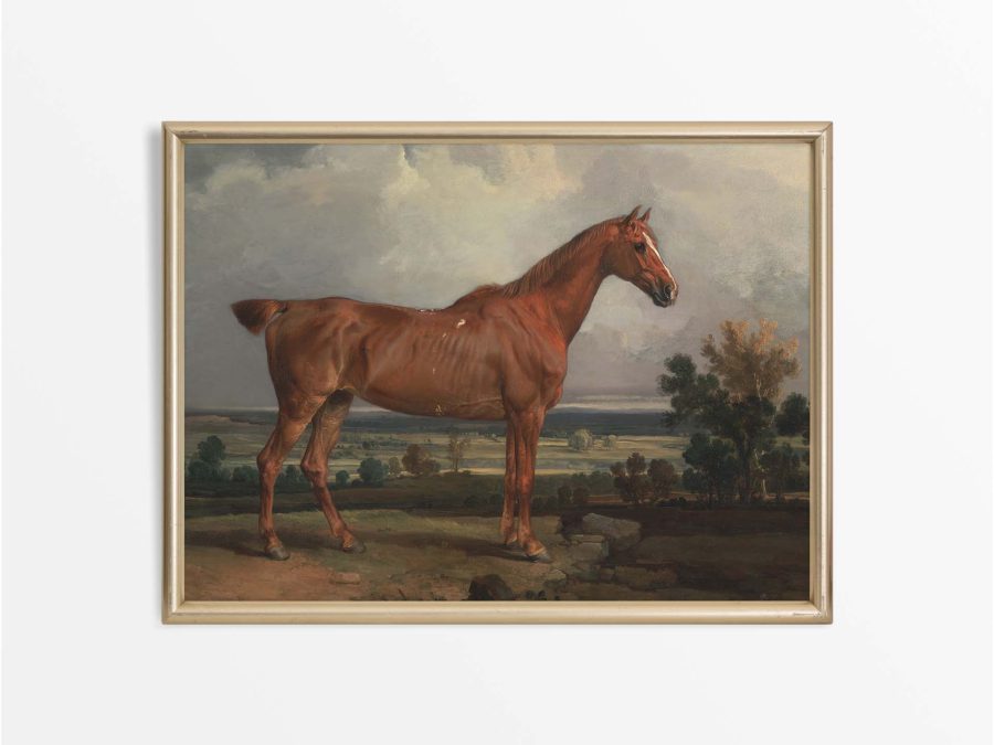 Horse V Vintage Art Print