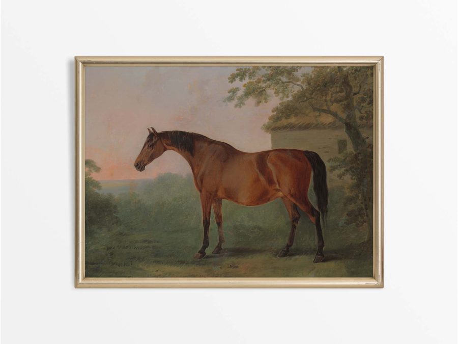 Horse VI Vintage Art Print