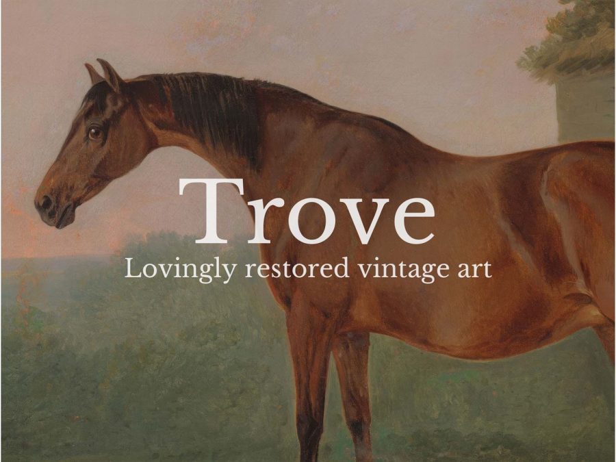 Horse VI Vintage Art Print