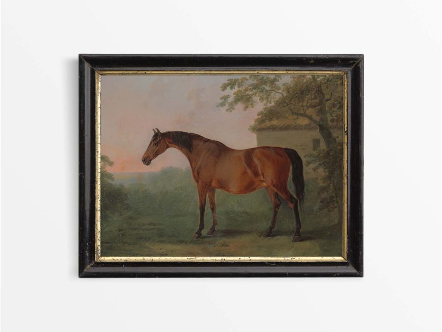 Horse VI Vintage Art Print