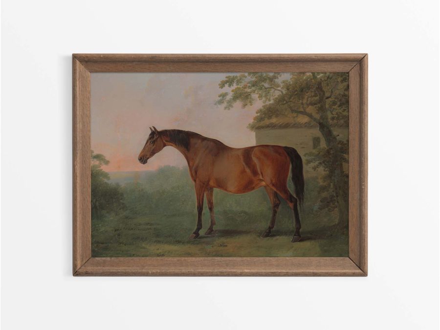 Horse VI Vintage Art Print