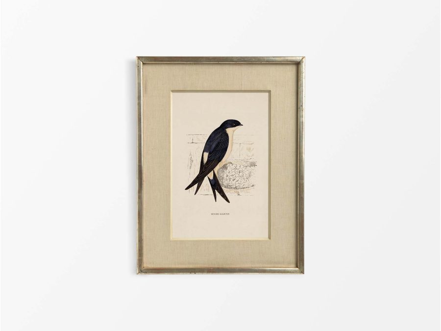 House Martin Vintage Art Print