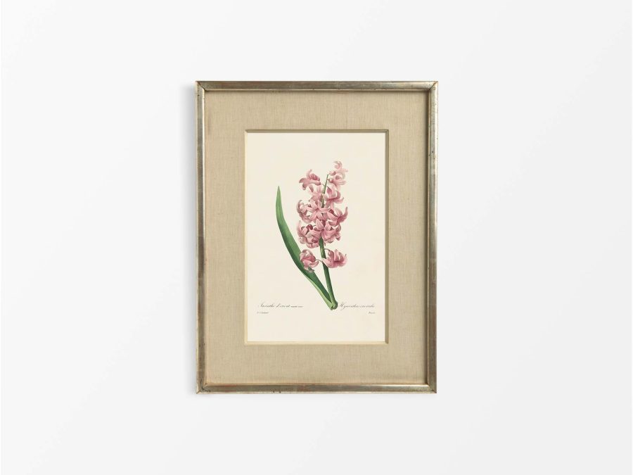 Hyacinth Vintage Art Print