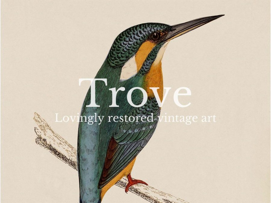 Kingfisher Vintage Art Print