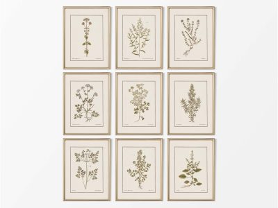 Kitchen Herbs (Set of Nine) Vintage Art Prints