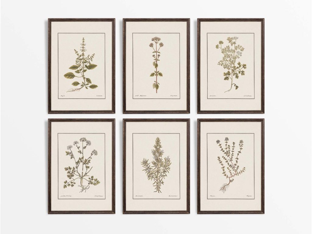 Kitchen Herbs (Set of Six) - Trove Prints
