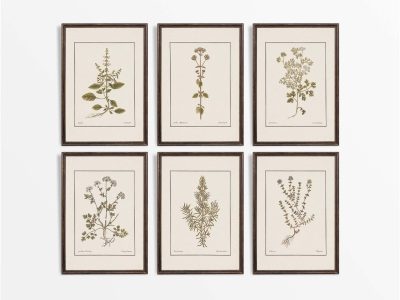 Kitchen Herbs (Set of Six) Vintage Art Prints