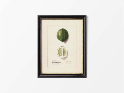 Lemon VIII Vintage Art Print