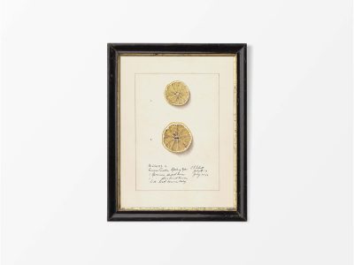 Lemon X Vintage Art Print