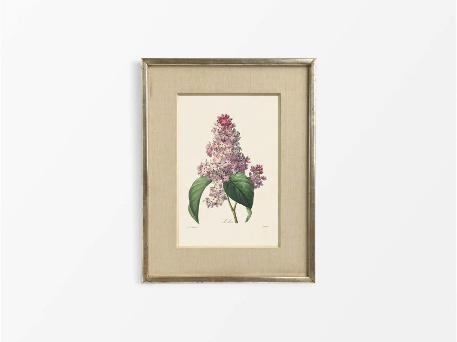 Lilac II Vintage Art Print