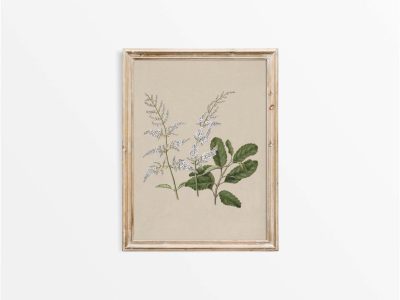 Lilac III Vintage Art Print
