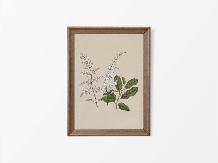 Lilac III Vintage Art Print