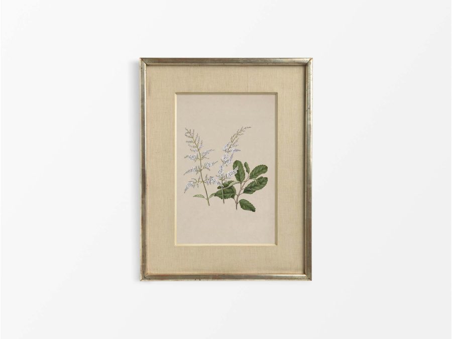 Lilac III Vintage Art Print