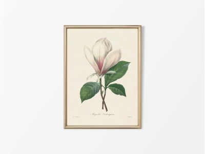 Magnolia Vintage Art Print