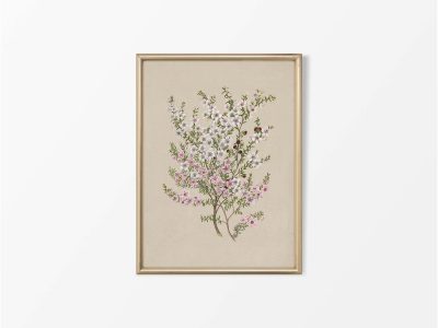 Manuka Vintage Art Print