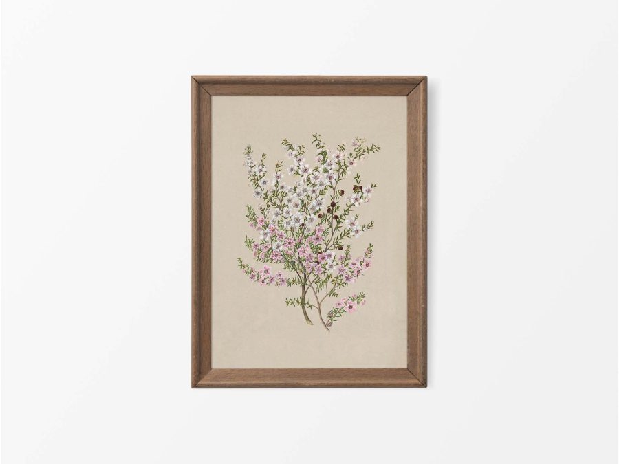 Manuka Vintage Art Print