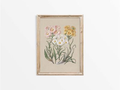 Marguerite Vintage Art Print