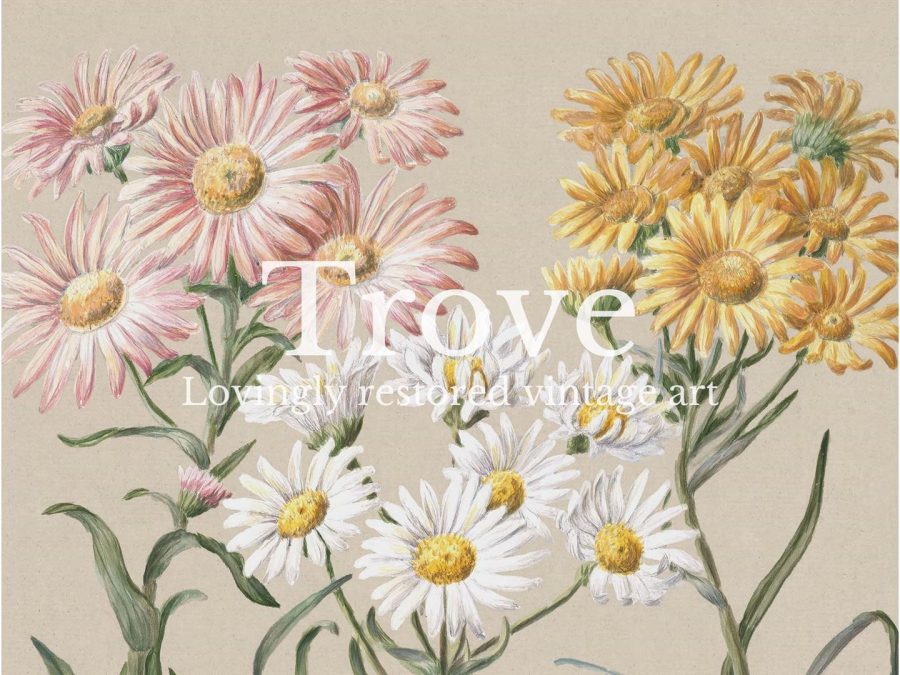 Marguerite Vintage Art Print