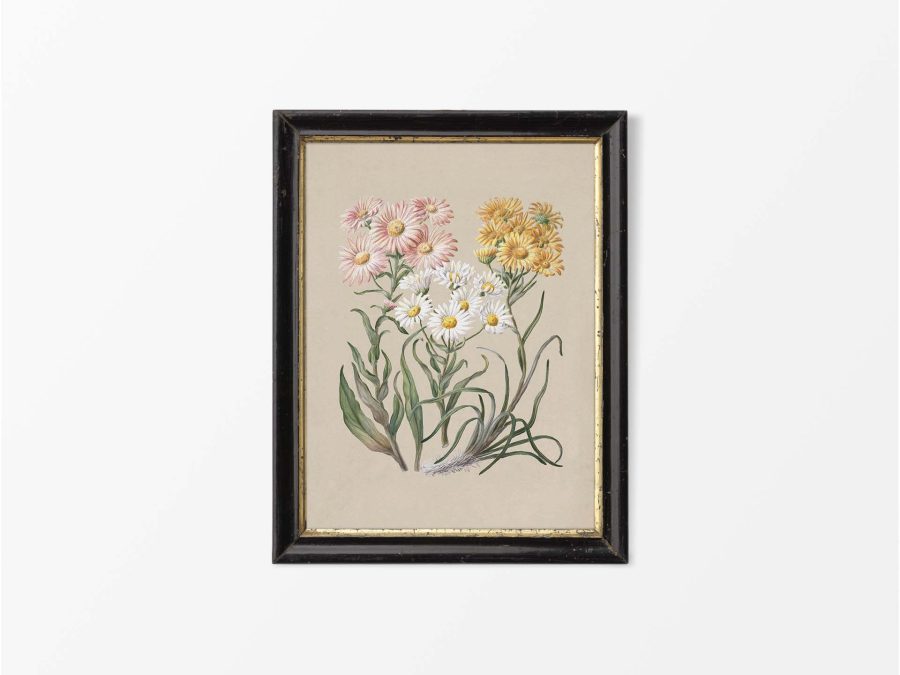 Marguerite Vintage Art Print