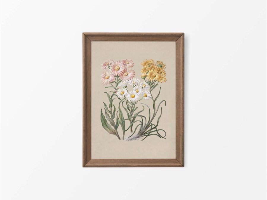 Marguerite Vintage Art Print