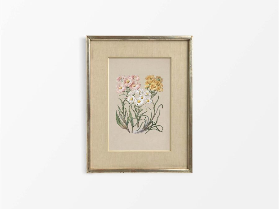 Marguerite Vintage Art Print