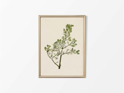 Mistletoe Vintage Art Print