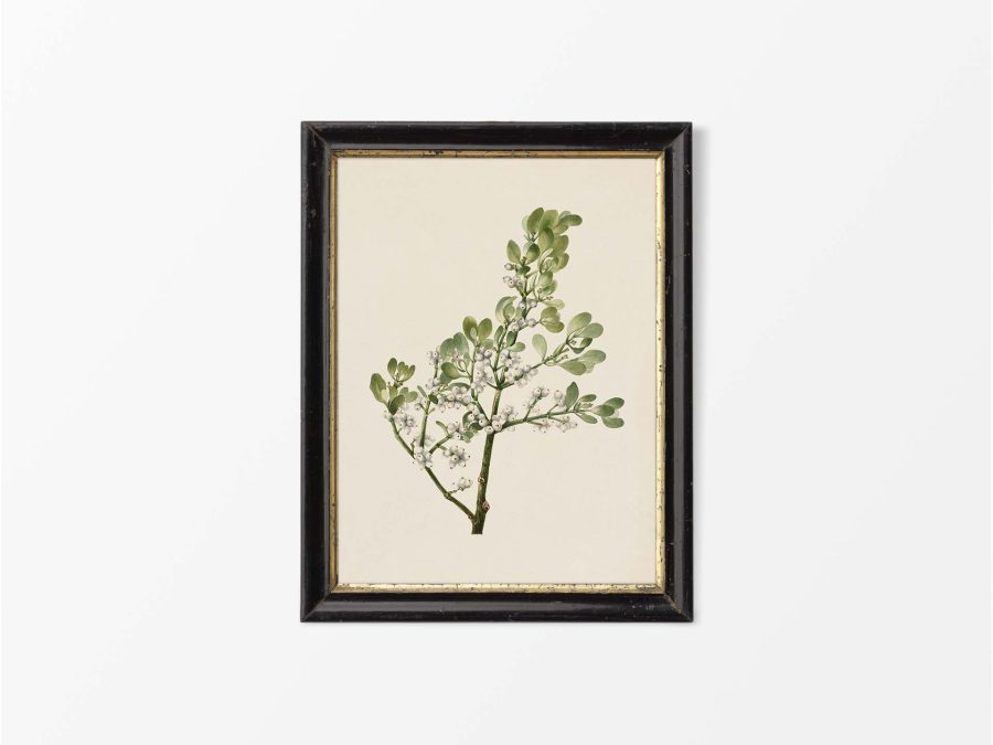 Mistletoe Vintage Art Print