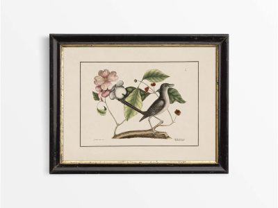 Mockingbird Vintage Art Print