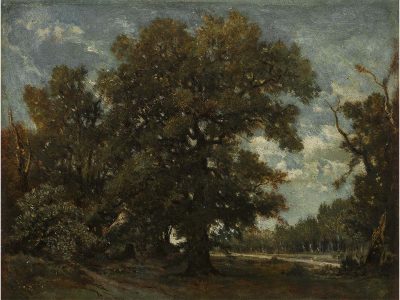 Oak Tree Vintage Art Print