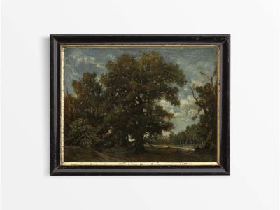 Oak Tree Vintage Art Print