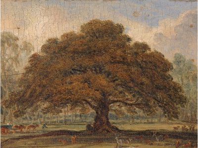 Oak in Autumn Vintage Art Print