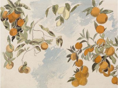 Orange Trees II Vintage Art Print