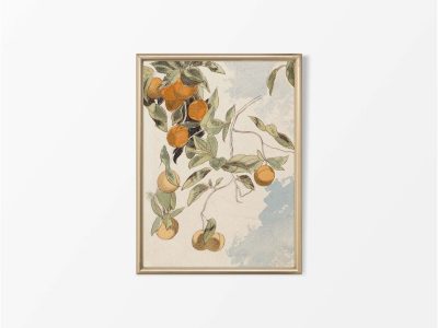 Orange Trees (Split) Vintage Art Print