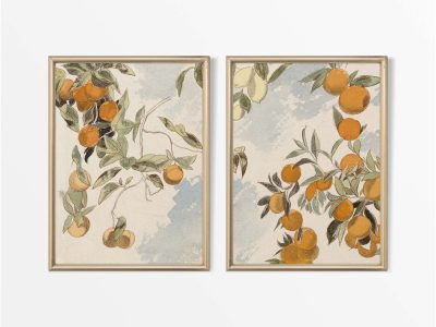 Orange Trees (Split) Vintage Art Prints