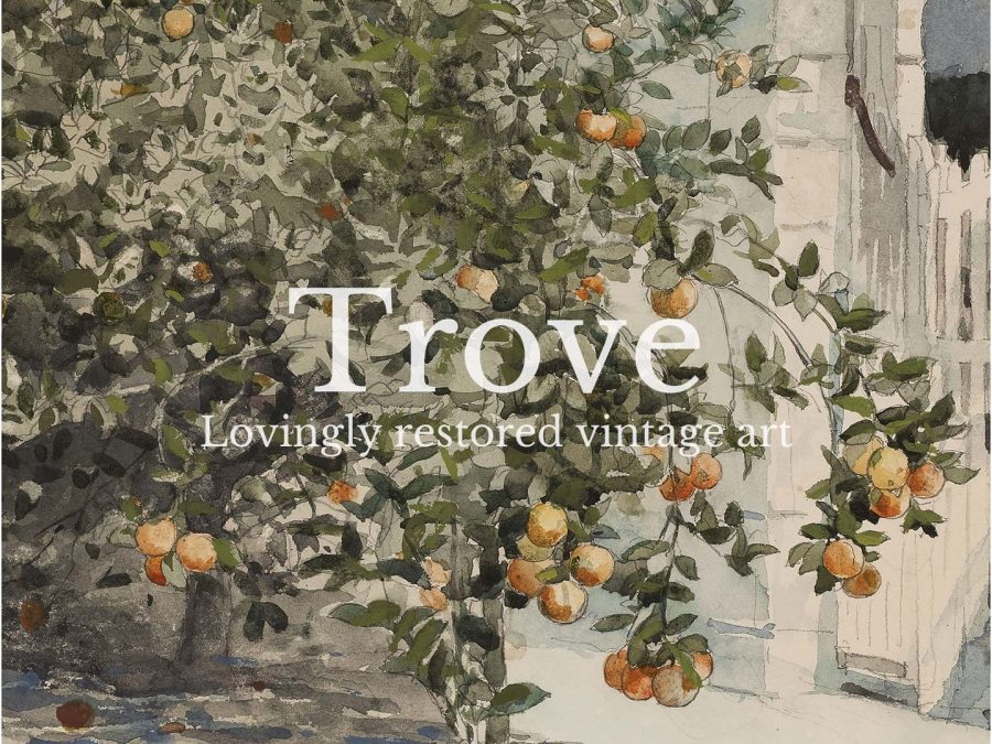 Orange Trees Vintage Art Print