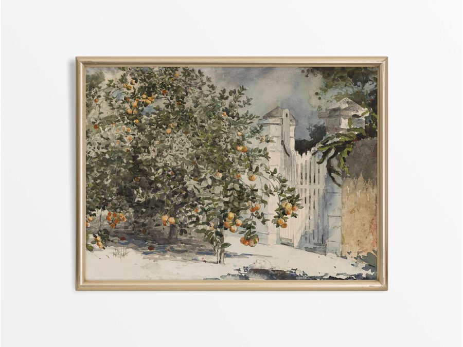 Orange Trees Vintage Art Print