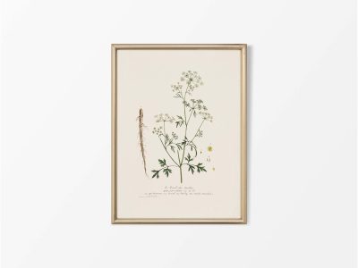 Parsley II Vintage Art Print