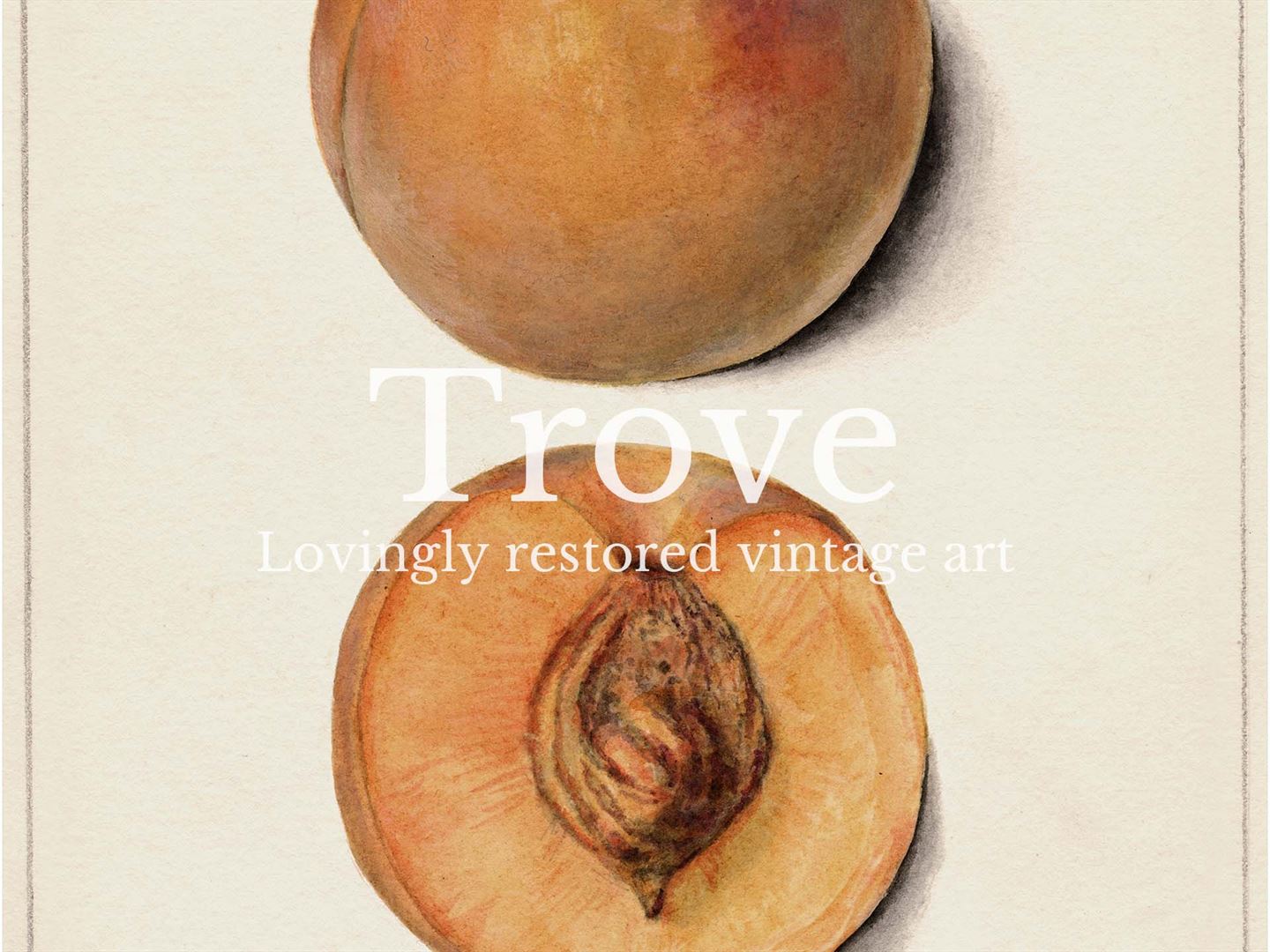 Peach II Vintage Art Print