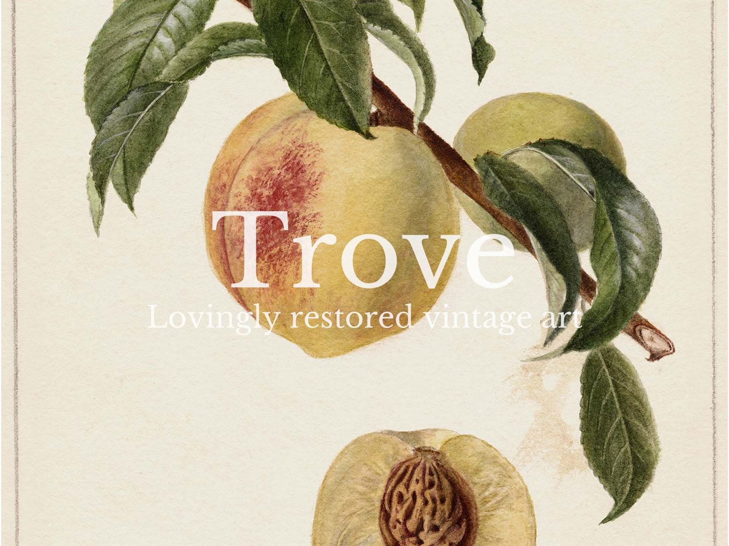 Peach III Vintage Art Print