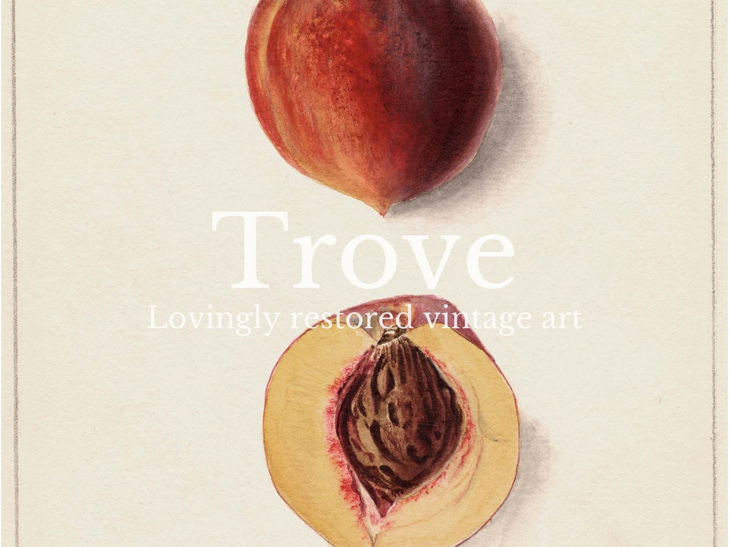 Peach IV Vintage Art Print