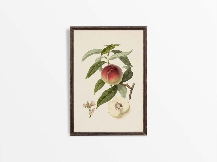 Peach La Galande Vintage Art Print