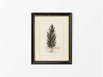 Pear Tree Vintage Art Print