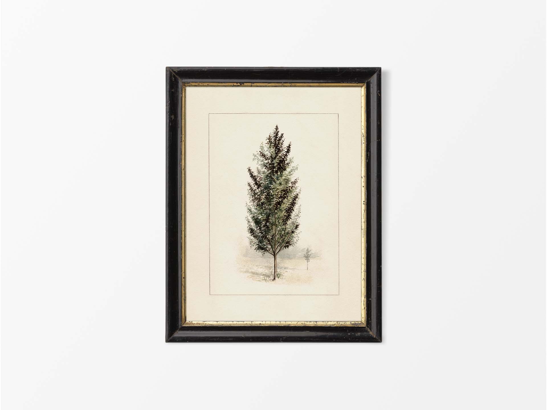 Pear Tree Vintage Art Print