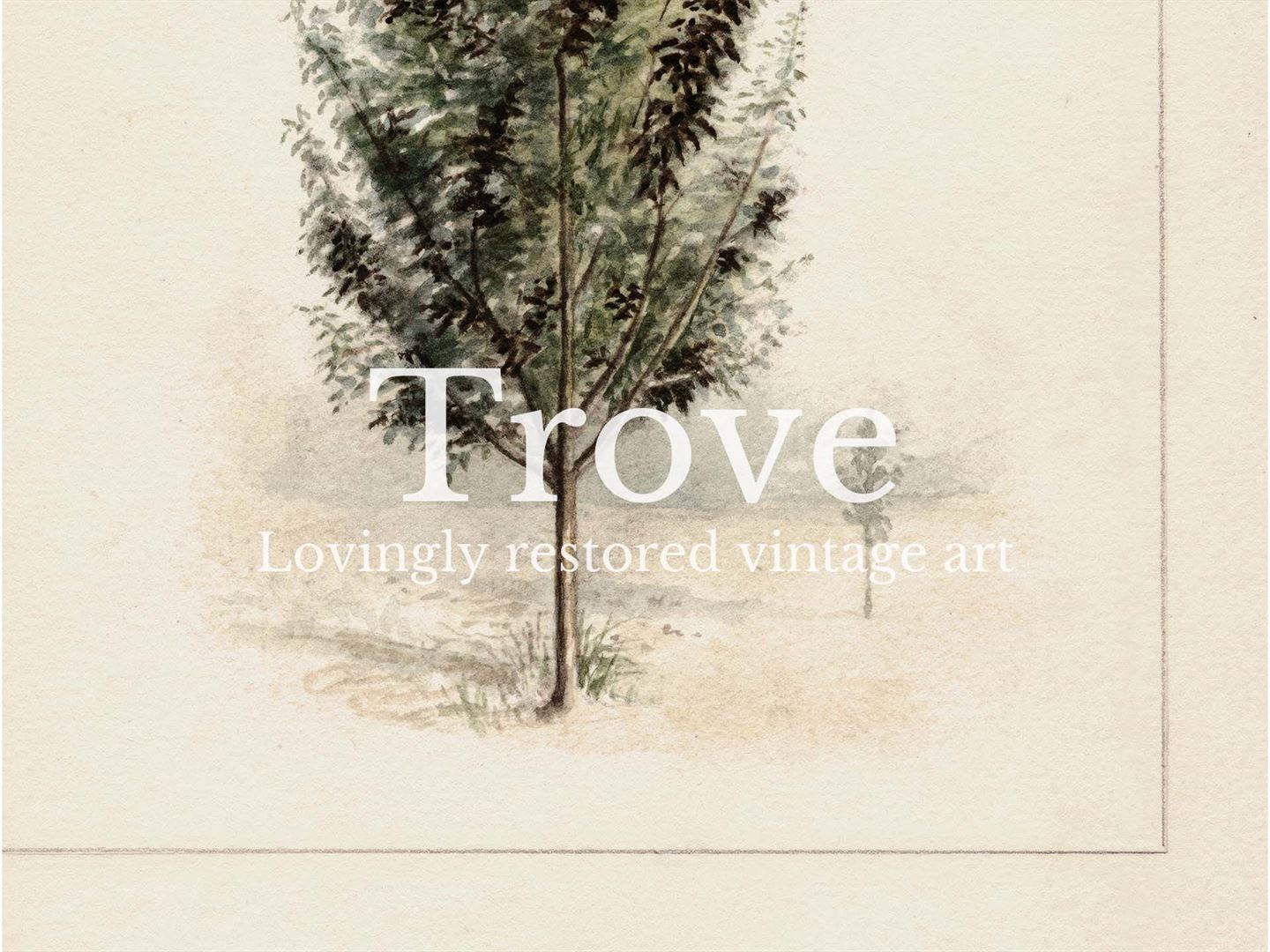 Pear Tree Vintage Art Print