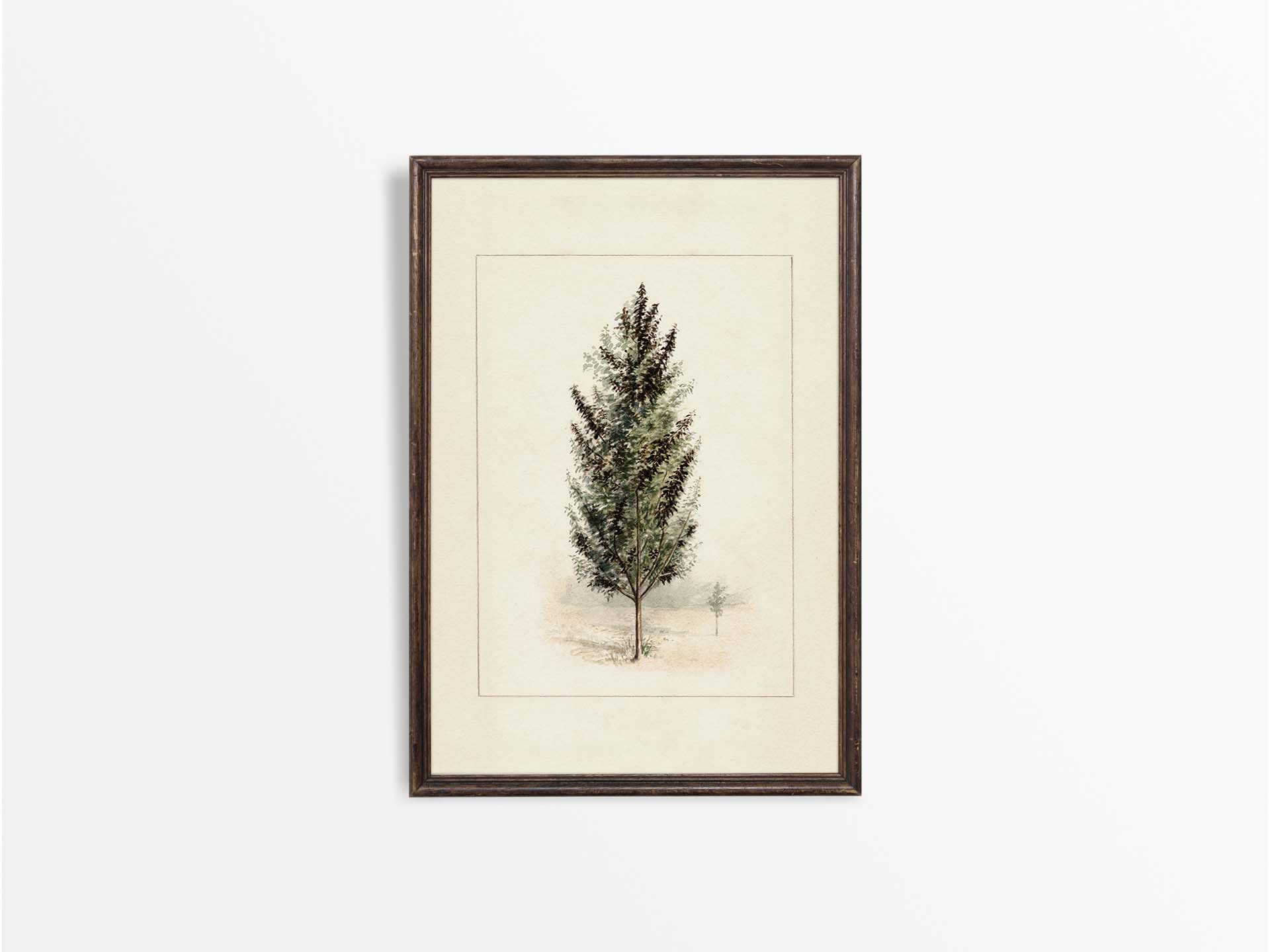 Pear Tree Vintage Art Print